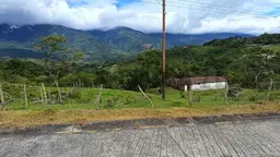 Vista 4