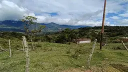 Vista 5