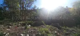 View 18