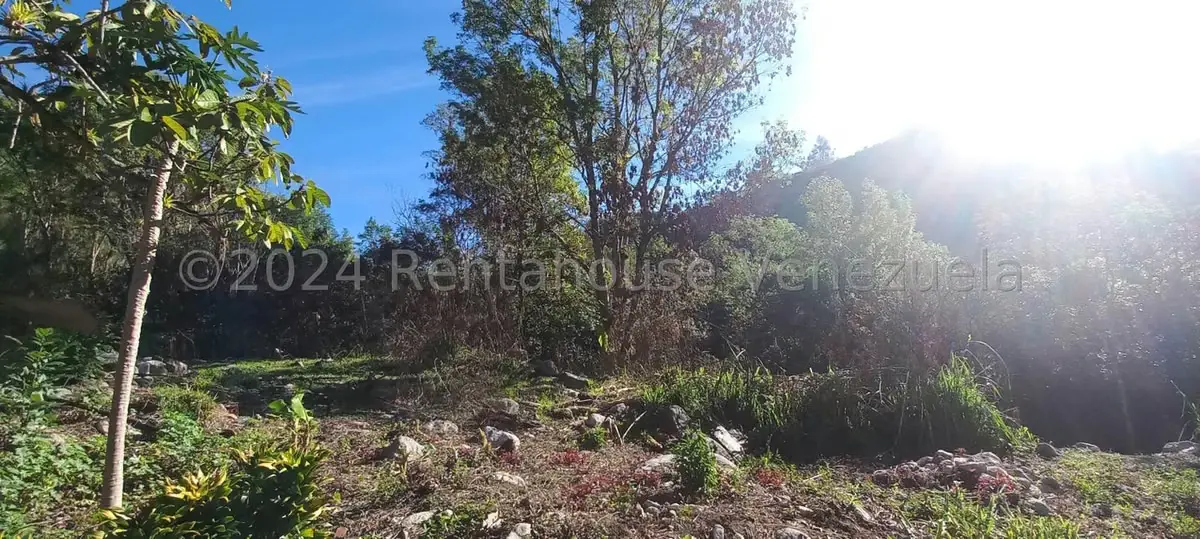 Terreno (Finca) en Venta en Mucujun, Merida - 19
