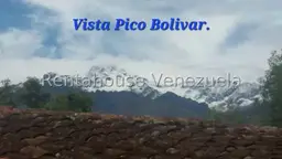 View 39