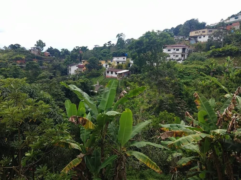 Casa en Alquiler Sector Corralito, Municipio El Hatillo. Edo. Miranda. - 22