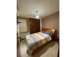 Vista 49