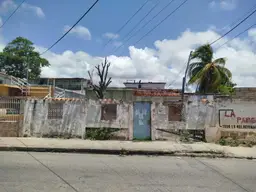 Vista 1