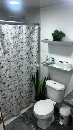 Vista 5