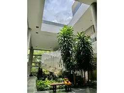 Vista 6