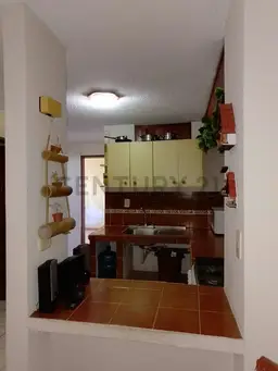Vista 4