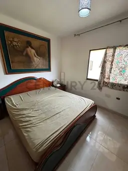Vista 5