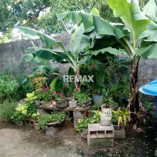 EN VENTA CASA UBICADA EN LA PUENTE, MONAGAS - 13
