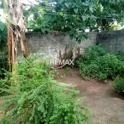 View 14