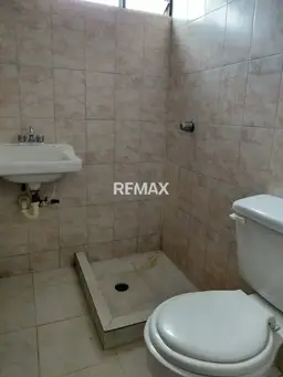 Vista 4
