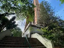 Vista 1