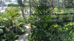 View 4