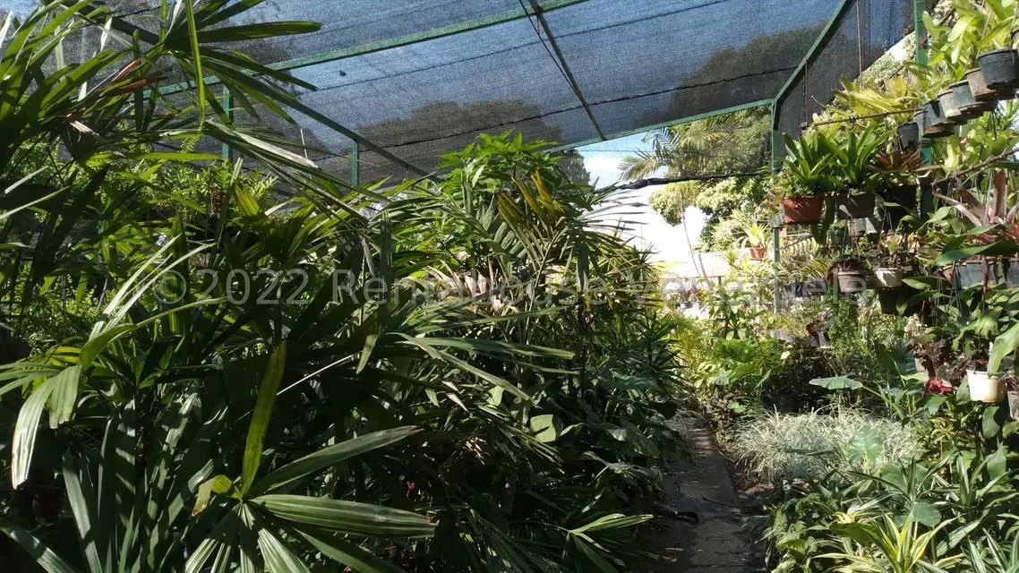 Terreno (Residencial) en Venta en Los Chorros, Distrito Metropolitano - 5