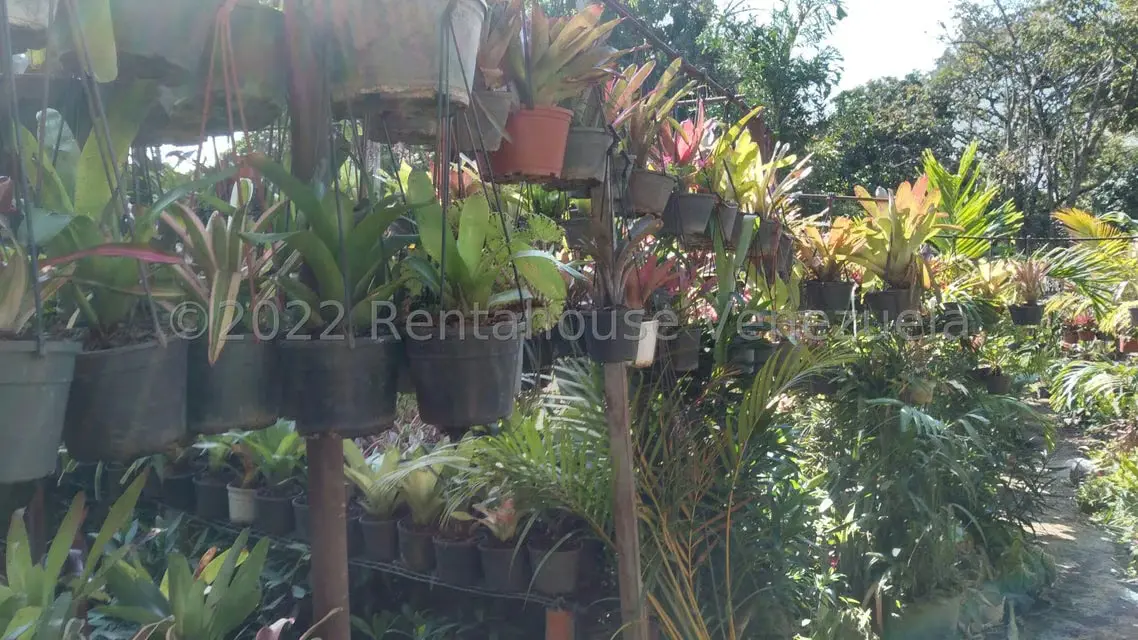 Terreno (Residencial) en Venta en Los Chorros, Distrito Metropolitano - 9