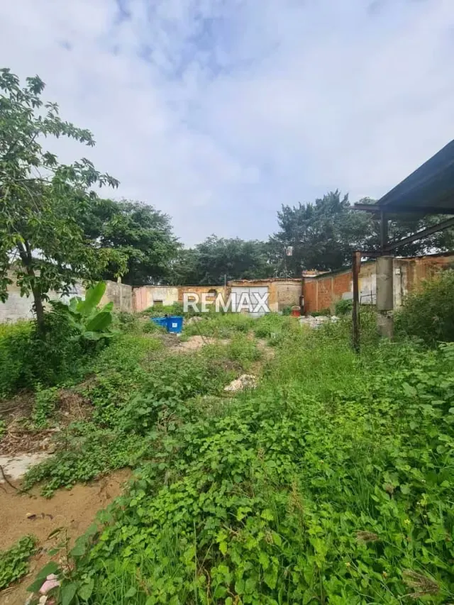 En Venta Galpon En San Blas Calle Comercio cruce con Paseo Cabriales - 10