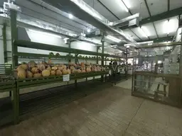 View 12