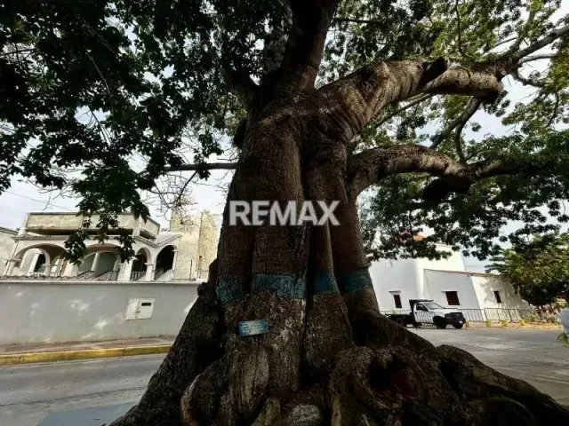 CASA EN VENTA CON LOCAL, EXCELENTE UBICACI´ÓN EN PAMPATAR - ISLA DE MARGARITA - 2