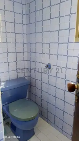 Vista 6