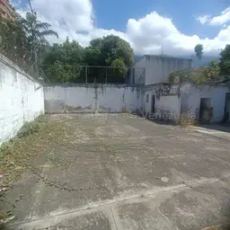 Vista 19
