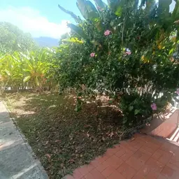 Vista 3