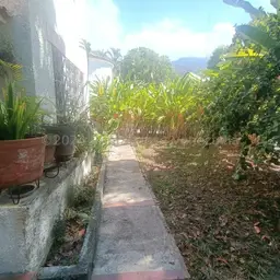 Vista 4