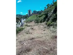 Vista 1