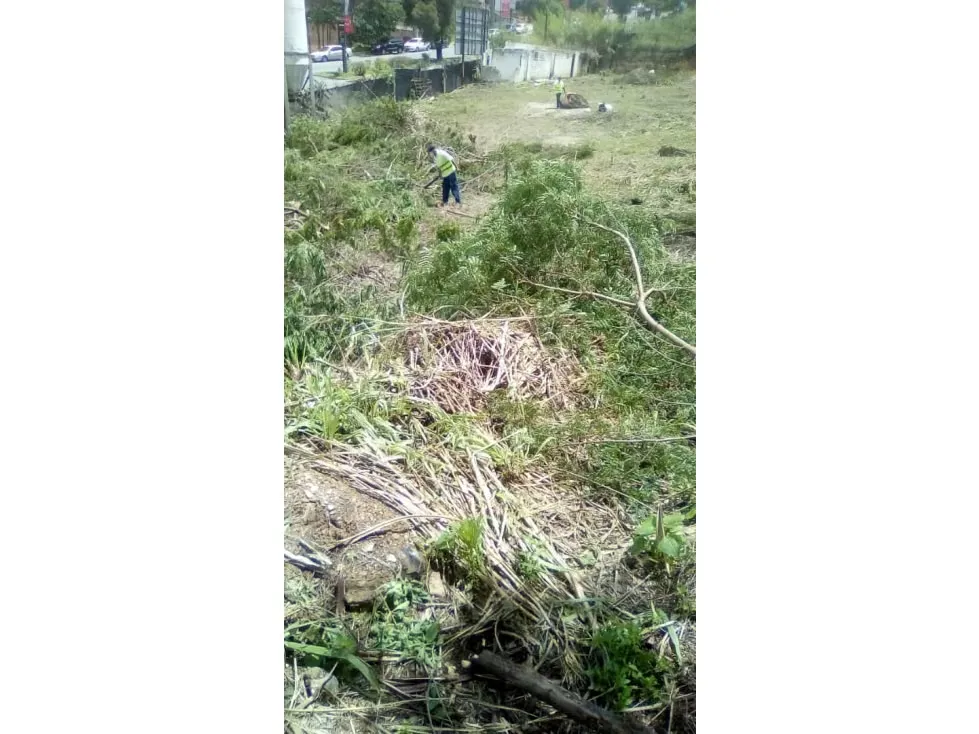 Se vende terreno 4376m² en Lomas de Prados del Este - 3