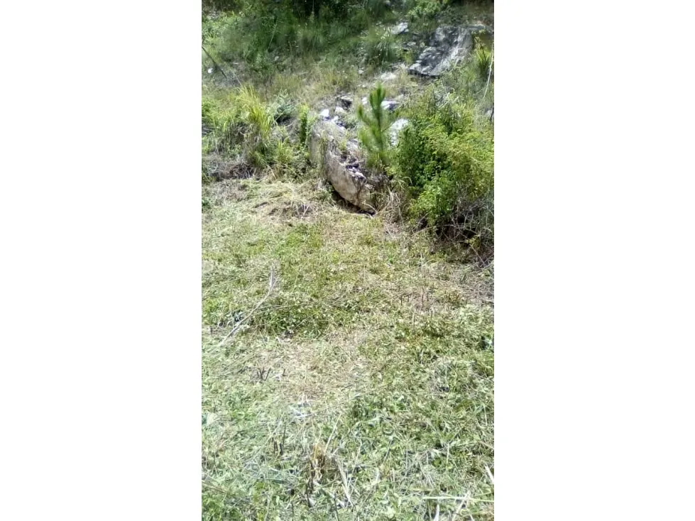 Se vende terreno 4376m² en Lomas de Prados del Este - 4