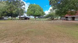 Vista 1