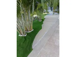 Vista 5