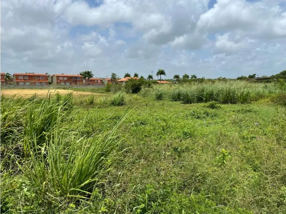 Se Vende Terreno 10000 M2 en Higuerote - 2