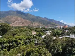 Vista 31
