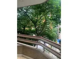View 15