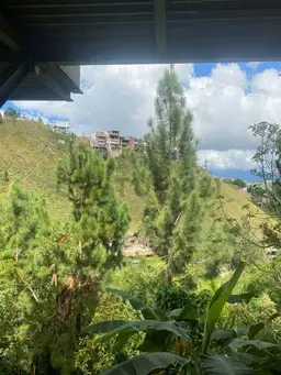 View 57