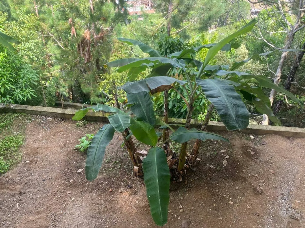 Se vende Terreno en Caicaguana, El Hatillo con Casa quinta en obra gris - 58