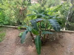 View 58
