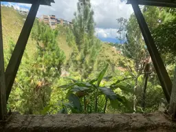 View 61