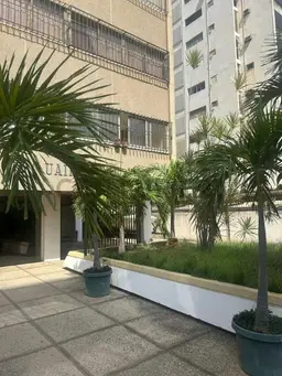 Vista 1