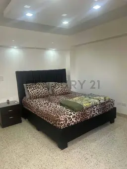 Vista 14