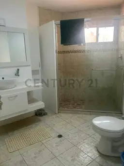 Vista 18