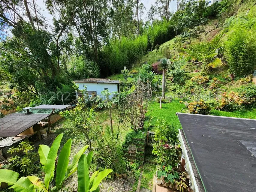 Casa (Duplex) en Venta en Colinas de Carrizal, Miranda - 13