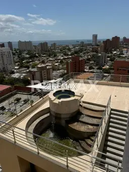 Vista 19