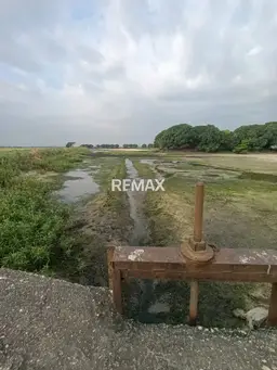 View 1
