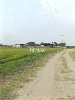 View 5