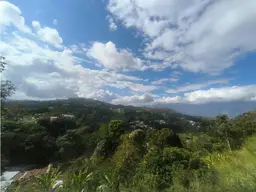 View 10