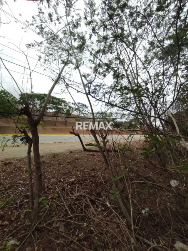 TERRENO EN VENTA AVENIDA FUCHO TOVAR LA ASUNCION - 12