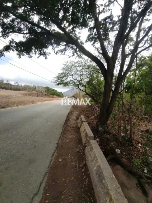 TERRENO EN VENTA AVENIDA FUCHO TOVAR LA ASUNCION - 3