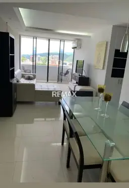View 1