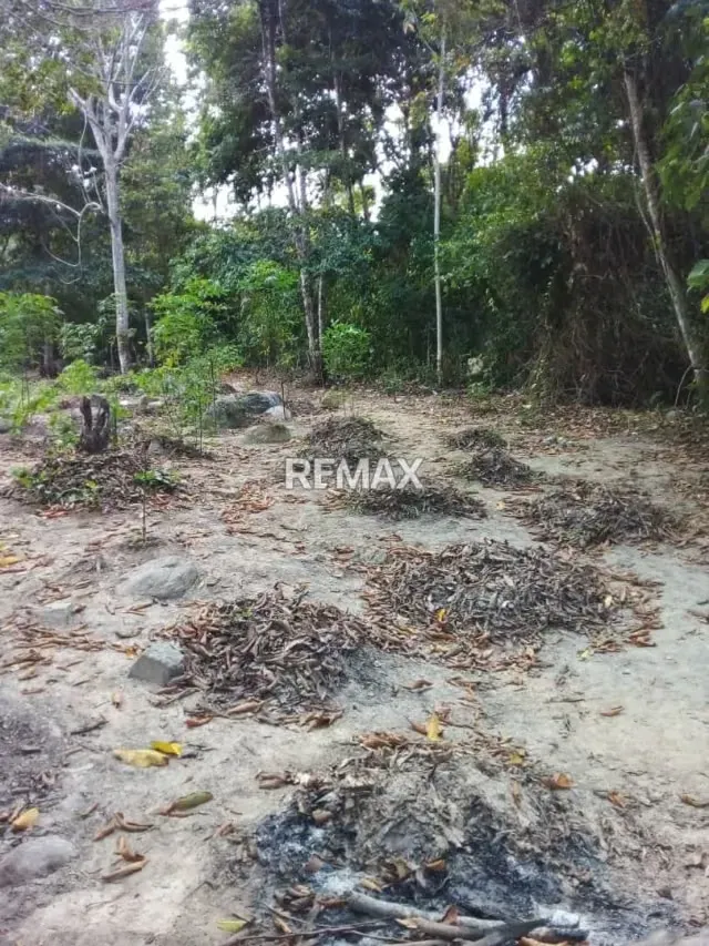 Terreno en San Juan de Colon - 2